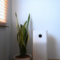 The Truth About Ionized Air and Its Effects on Your Health