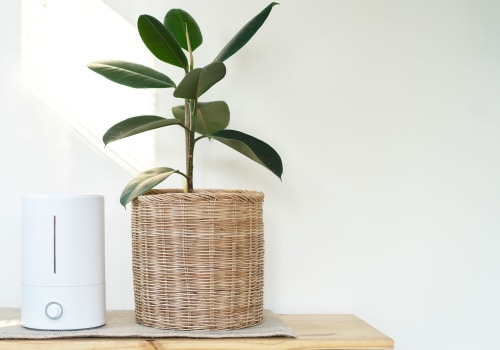 The Ultimate Guide to Choosing the Best Air Purifier